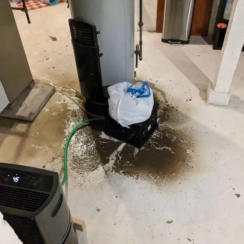 Sewage Backup Cleanup Service in Bunker Hill Village, TX